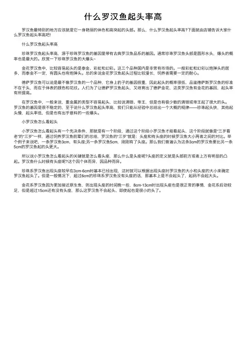 什么罗汉鱼起头率高