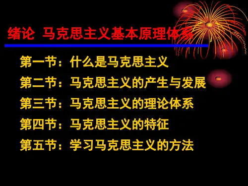 马克思主义基本原理概论各章知识点ppt课件