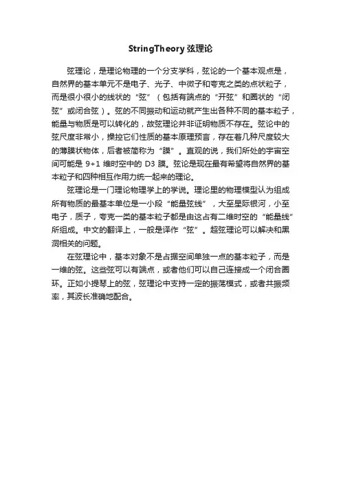 StringTheory弦理论