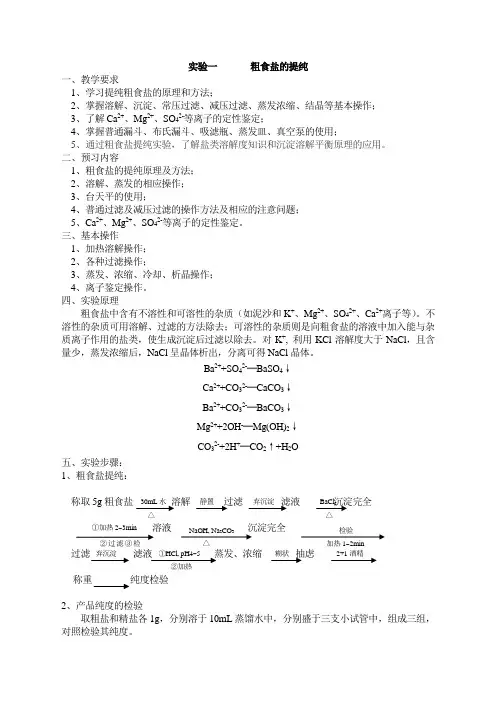 粗食盐的提纯