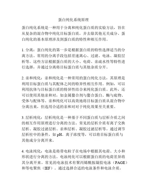 蛋白纯化系统原理
