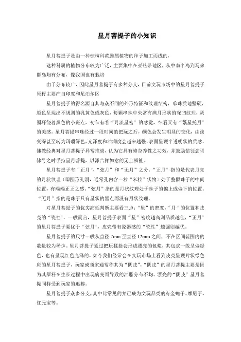 星月菩提子的小知识