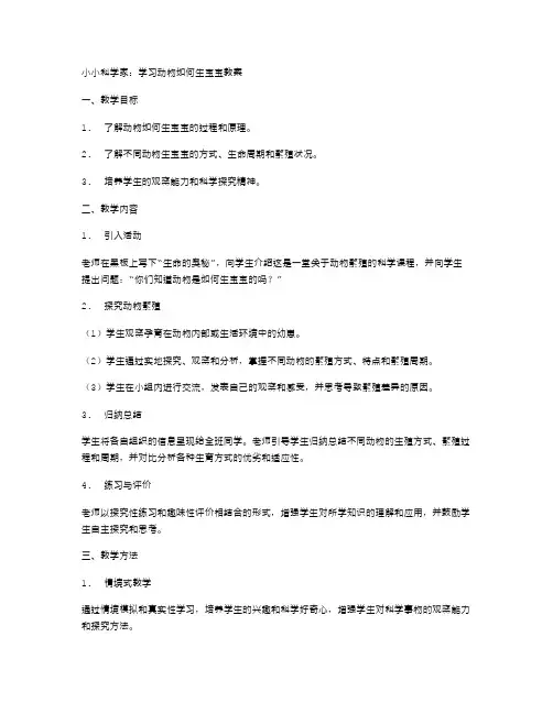 小小科学家：学习动物如何生宝宝教案