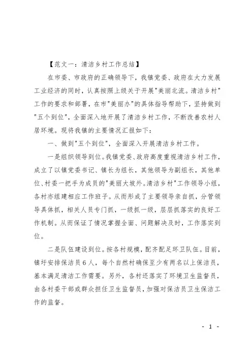 清洁乡村工作总结5篇