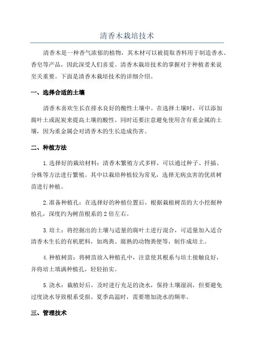 清香木栽培技术