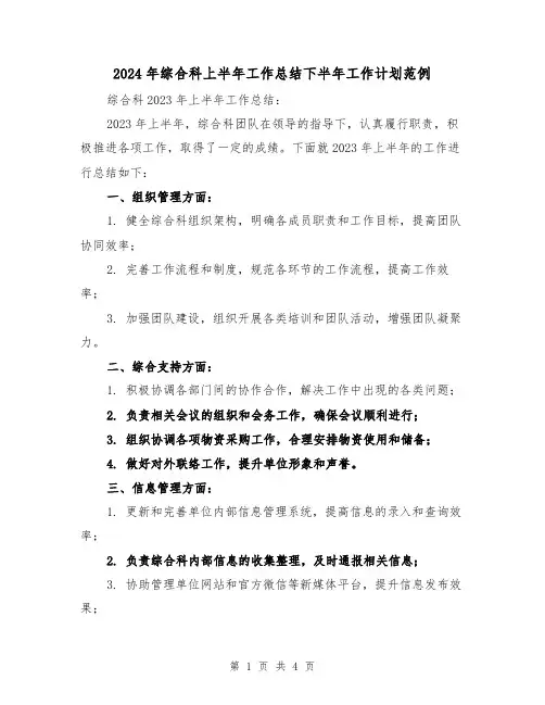 2024年综合科上半年工作总结下半年工作计划范例(2篇)