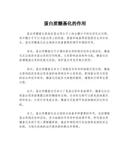 蛋白质糖基化的作用