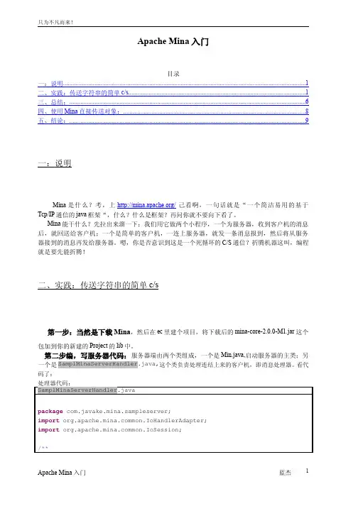 ApacheMina入门（完成版）
