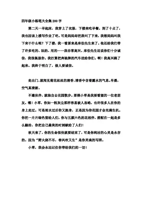 四年级小练笔大全集200字