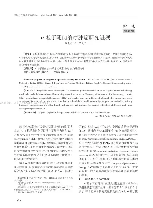 α 粒子靶向治疗肿瘤研究进展