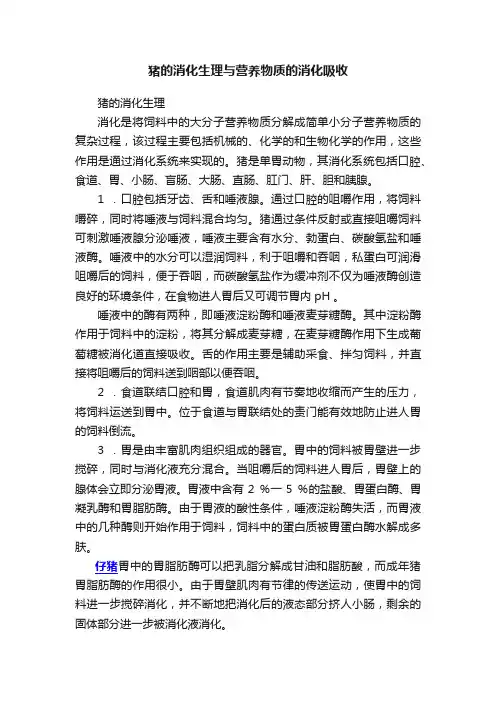 猪的消化生理与营养物质的消化吸收