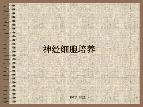 神经细胞培养讲义课件