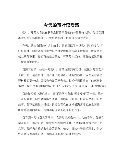 今天的落叶读后感