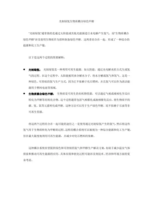 光制绿氢生物质耦合绿色甲醇