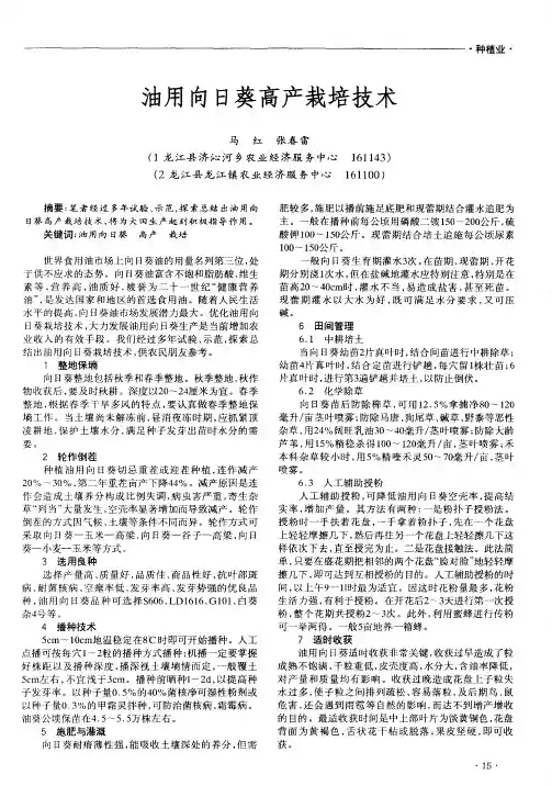 油用向日葵高产栽培技术