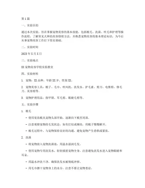 宠物美容基础实验报告(3篇)