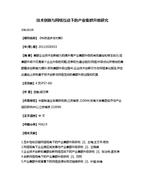 技术创新与网络互动下的产业集群升级研究