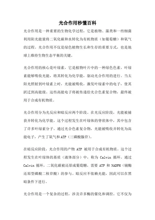 光合作用秒懂百科