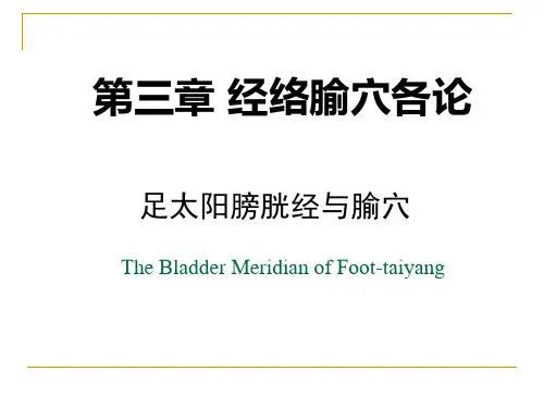 足太阳膀胱经