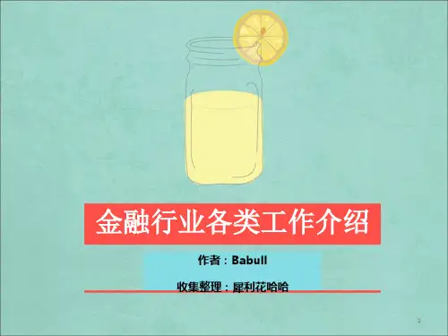 金融行业各类工作介绍(ppt 30页)