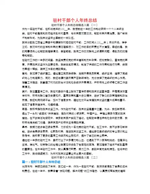 驻村干部个人年终总结3篇