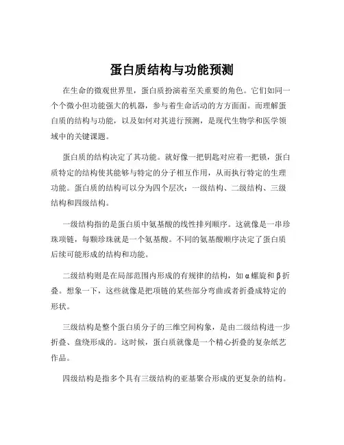蛋白质结构与功能预测