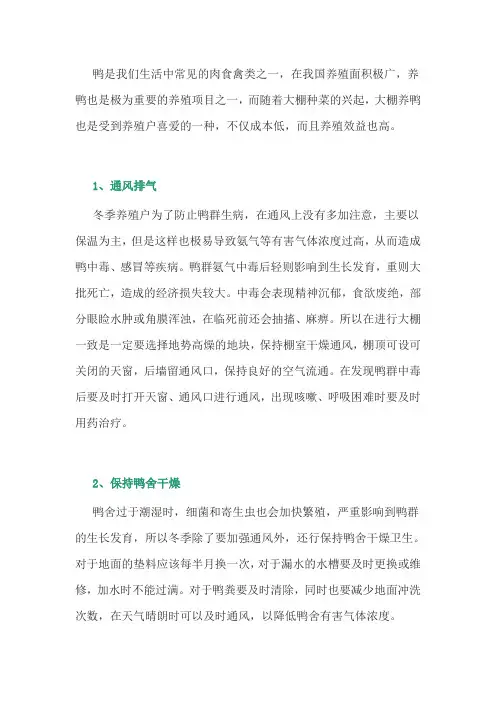 养鸭经验：冬季大棚养鸭的注意事项