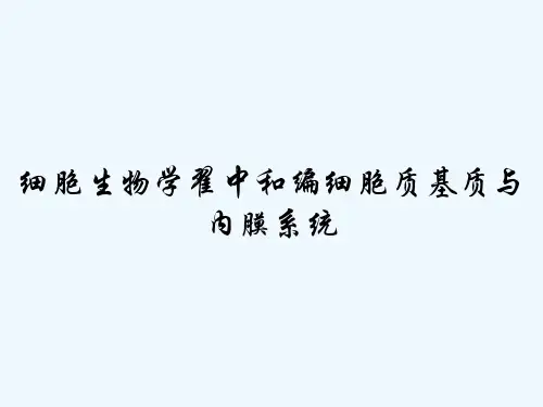 细胞生物学翟中和编细胞质基质与内膜系统-PPT