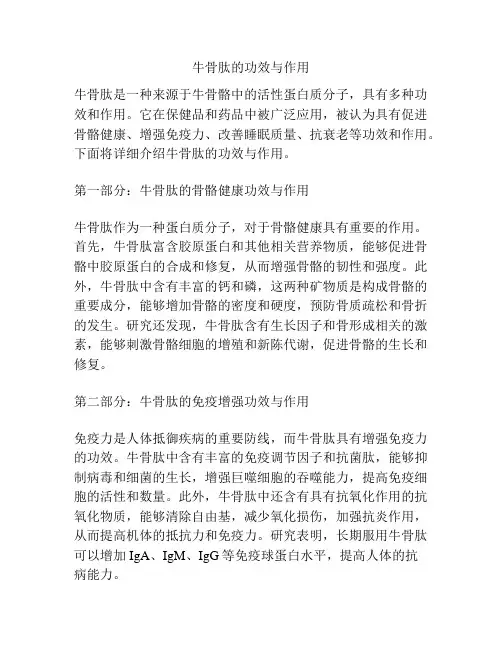 牛骨肽的功效与作用