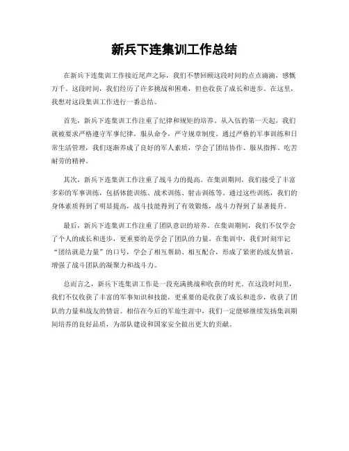 新兵下连集训工作总结
