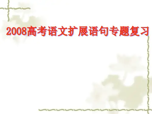 高考语文扩展语句专题复习