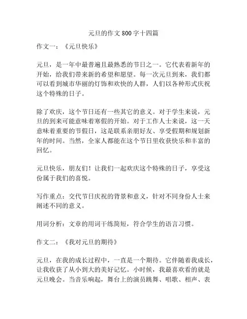 元旦的作文800字十四篇