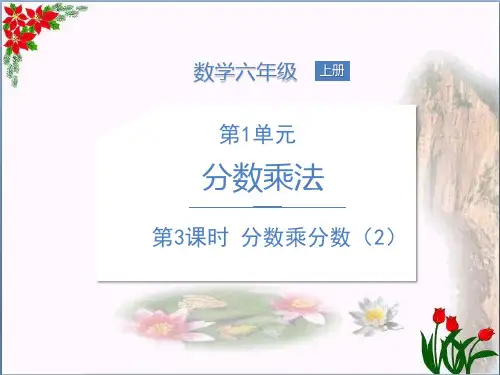  分数乘分数() 人教新课标教育课件