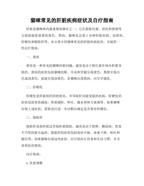 猫咪常见的肝脏疾病症状及自疗指南