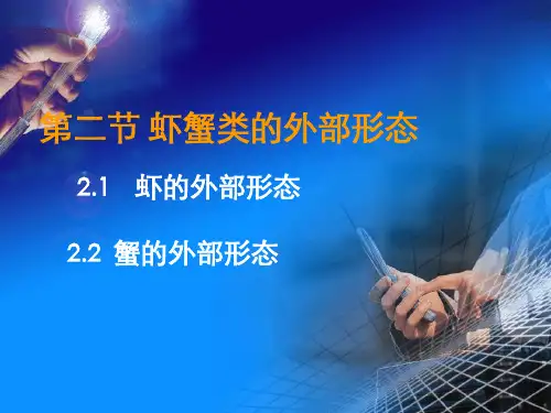 2虾蟹生物学知识