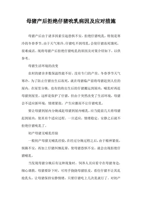 母猪产后拒绝仔猪吮乳病因及应对措施