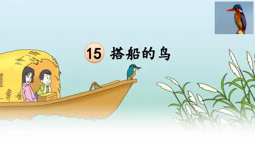统编版三年级语文上册15.《搭船的鸟》课件(共17张PPT)