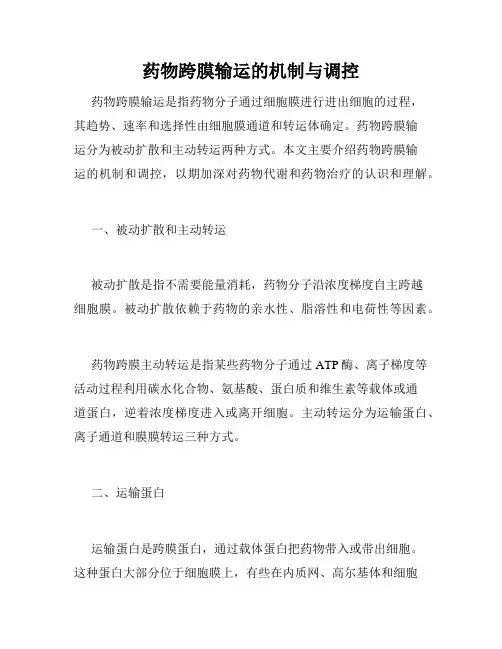 药物跨膜输运的机制与调控