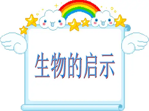 六年级科学下册《生物的启示》PPT课件之一(人教新课标)-15页精选文档
