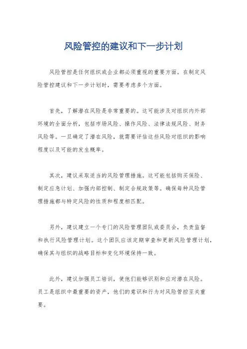 风险管控的建议和下一步计划