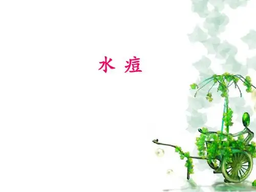 (推荐课件)中医儿科-水痘PPT幻灯片
