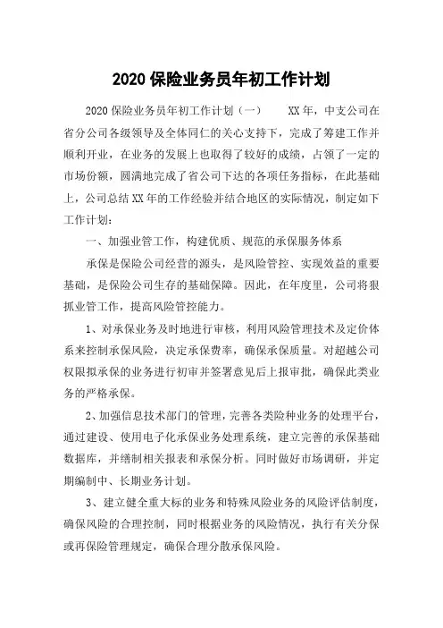 2020保险业务员年初工作计划