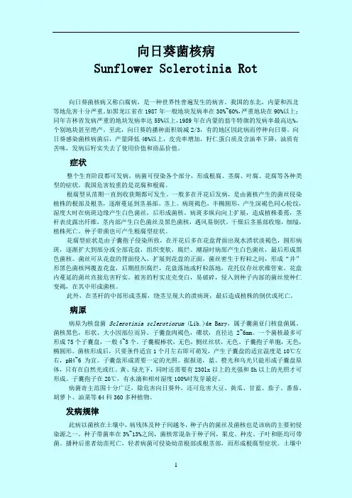向日葵菌核病