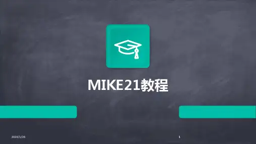 2024版MIKE21教程