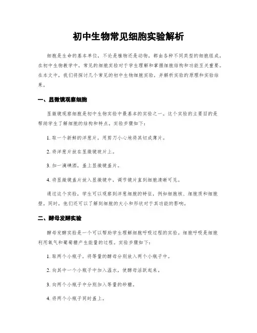 初中生物常见细胞实验解析