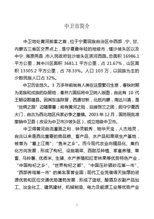 中卫市简介