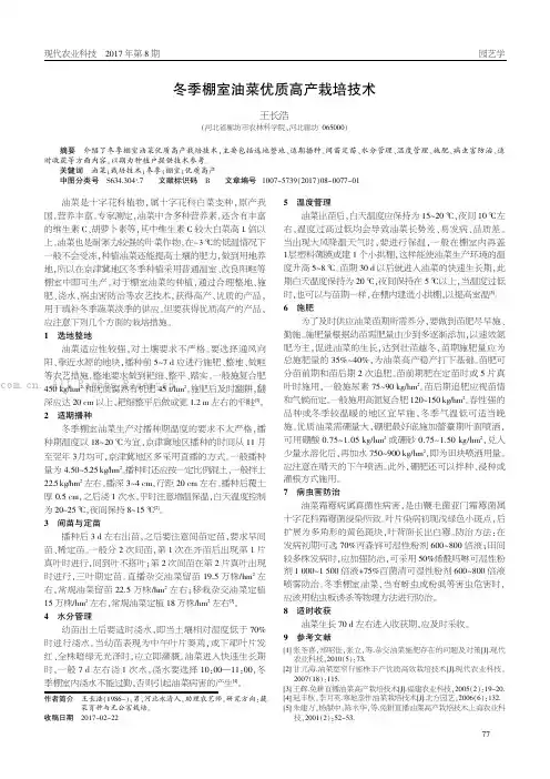 冬季棚室油菜优质高产栽培技术