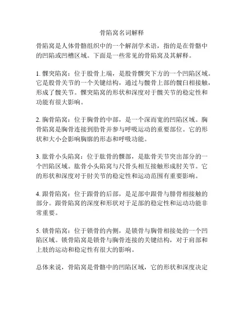 骨陷窝名词解释