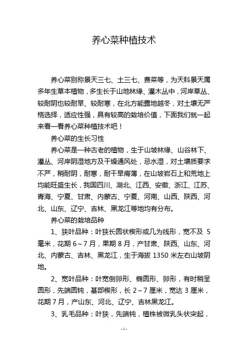 养心菜种植技术
