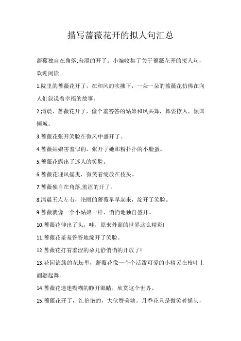 小学素材描写蔷薇花开的拟人句汇总